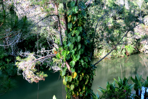 Canal of Pangalane