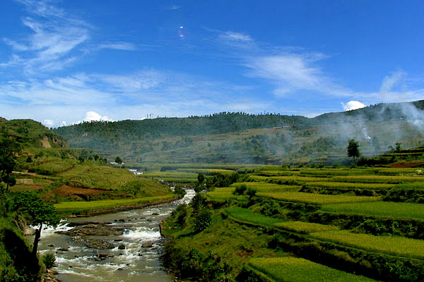 Green landscape