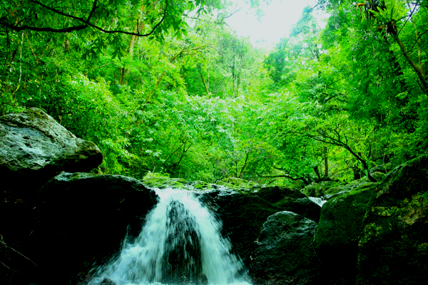 Masoala National Park